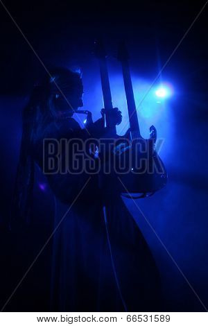 Guitarist during concert