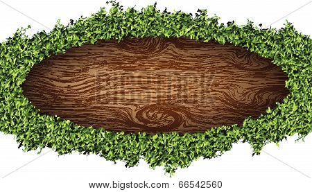 green background with leaves and grass