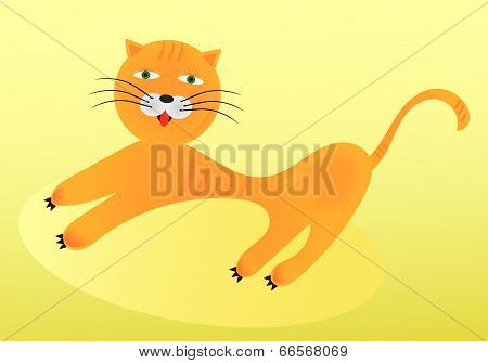 Red cat stretches