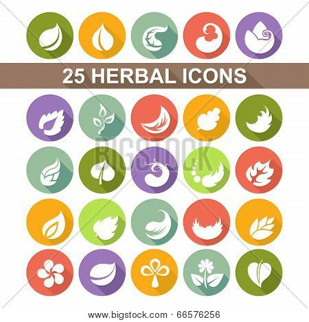 Icon leaf