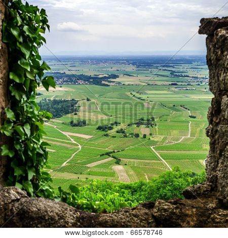 Alsace View From The Top Of Hill