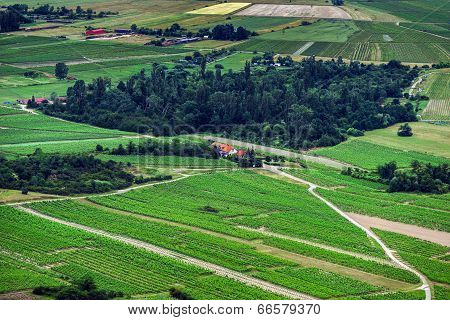 Panoramic Bird Fly View To Alsace