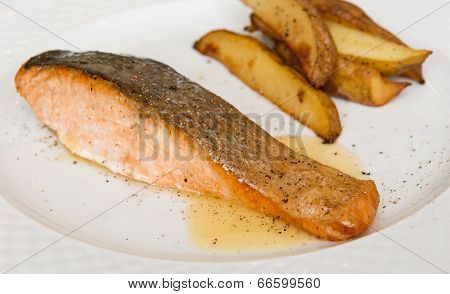 Salmon