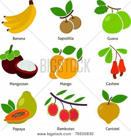 Fruits and berries