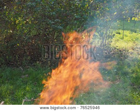 Burning Fire