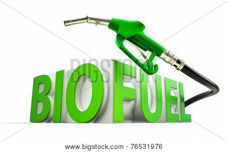 Bio Fuel