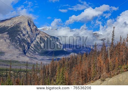 Nature Canada