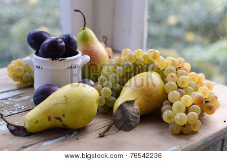 Autumn Fruits Pears, Plums And White Grapes Still Life