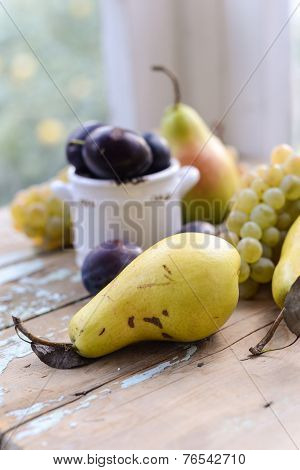 Autumn Fruits Pears, Plums And White Grapes Still Life