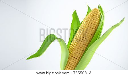 Corn cob with green leaves, 3D illustration