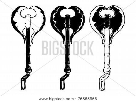 Double Axe Vector