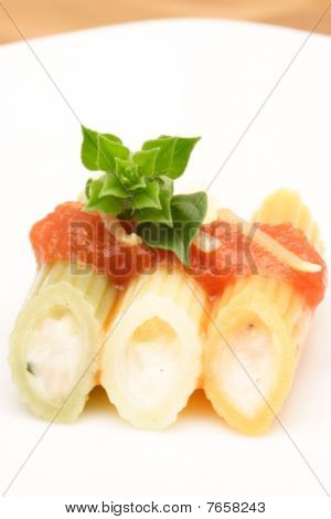 Canelloni Gourmet