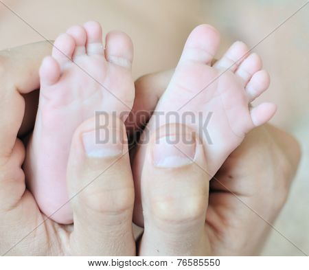 Love In Hands