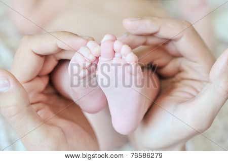 Father's Tenderness