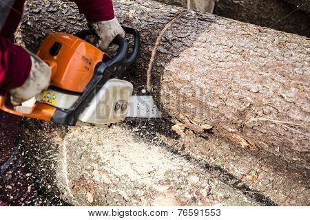 Man sawing a log in his back yard with orange saw