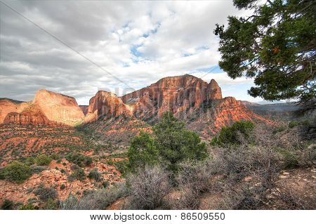 Sunset in Kolob -  Zion National park