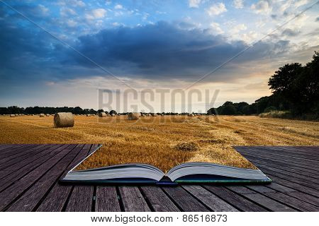 Rural Landscape Image Of Summer Sunset Over Field Of Hay Bales Conceptual Book Image