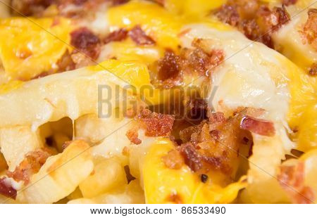 Disco Fries Closeup