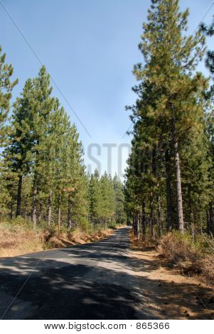 Airport road