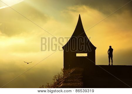 Freedom-Silhouette of Man, Hawk and Salzburg castle