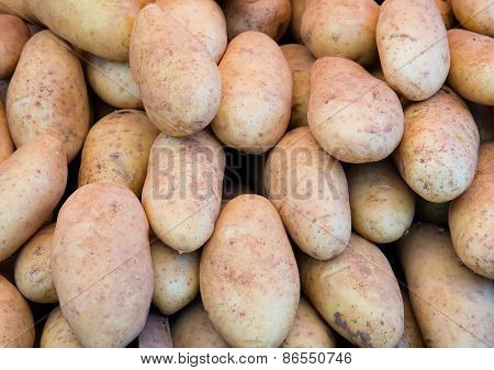 Potato