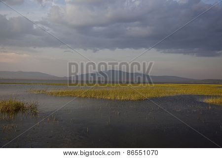 Awassa Lake