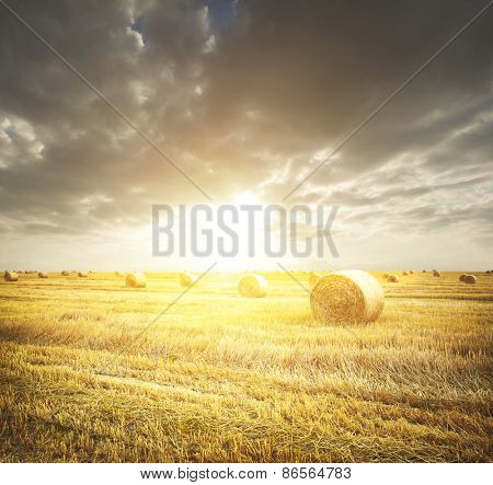 hay-roll on meadow against sunset background 