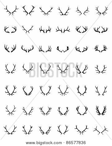 deer horns
