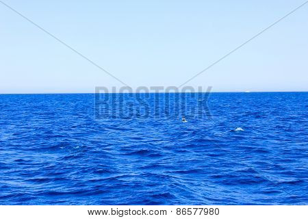 Sea Blue Water Background