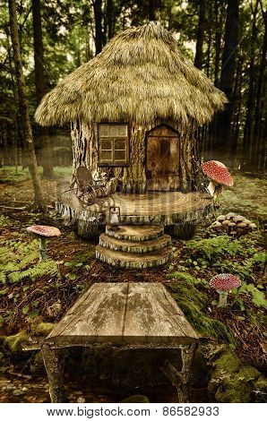 Fairy House (stump)