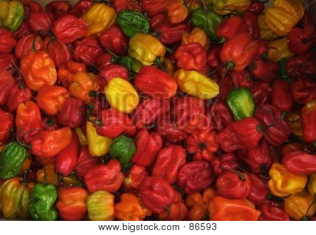 Chiles