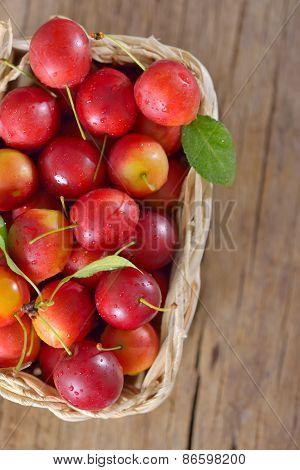 Fresh Mirabelle Plums