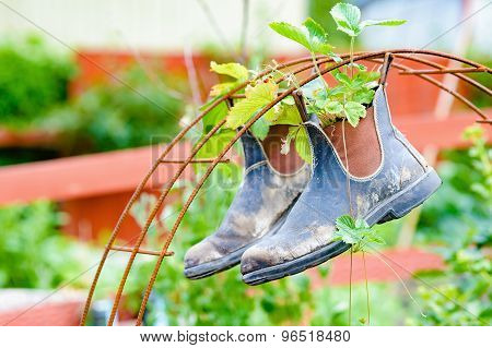 Alternative Gardening