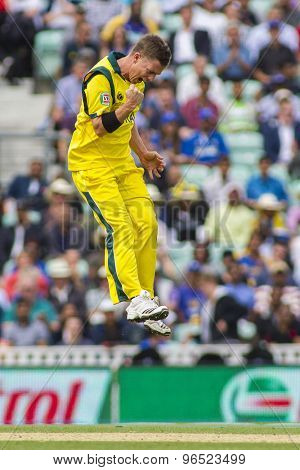 LONDON, ENGLAND - June 17 2013: Australia's Xavier Doherty celebrates taking the wicket of Tillakaratne Dilshan during the ICC Champions Trophy cricket match between Sri Lanka and Australia.