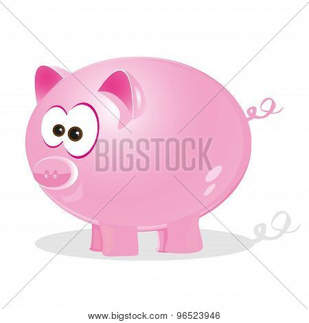 The little Pig