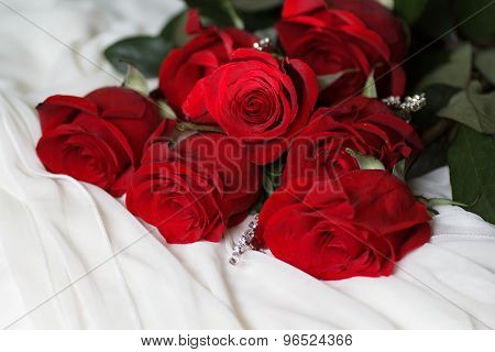 Beautiful Fresh Red Rose. Close Bud. Flower.