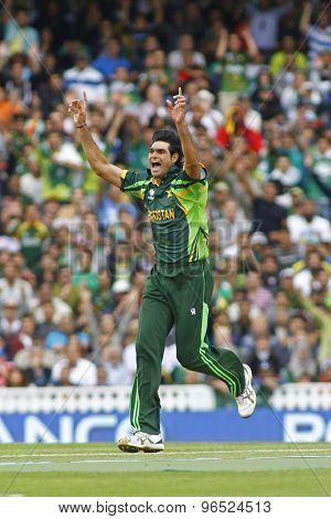 LONDON, ENGLAND - June 07 2013: Pakistan's Mohammad Irfan appeals for a wicket during the ICC Champions Trophy cricket match between Pakistan and The West Indies at The Oval Cricket Ground.