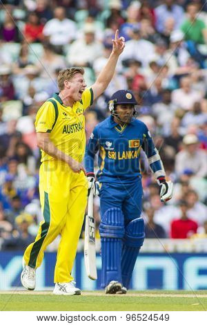 LONDON, ENGLAND - June 17 2013: Australia's James Faulkner appeals for the wicket of Sri Lanka's Angelo Mathews during the ICC Champions Trophy cricket match between Sri Lanka and Australia.