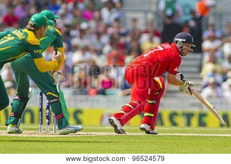 LONDON, ENGLAND - June 19 2013: England's Ian Bell during the ICC Champions Trophy semi final match between England and South Africa at The Oval Cricket Ground