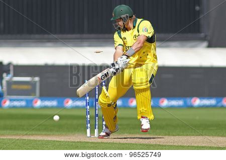 CARDIFF, WALES - June 04 2013: Australia's Shane Watson is bowled out by India's Irfan Pathan during the ICC Champions Trophy warm up match between India and Australia