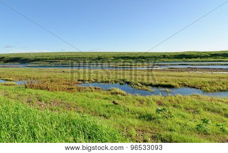 Tundra Landscape