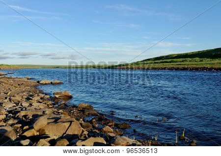 Tundra Landscape
