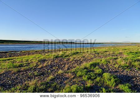 Tundra Landscape