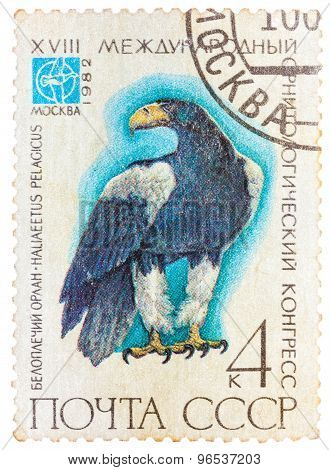Stamp printed in USSR Russia shows a bird Haliaeetus pelagitus