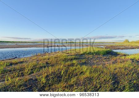 Tundra Landscape