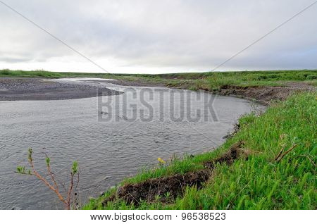 Tundra Landscape