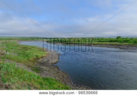 Tundra Landscape