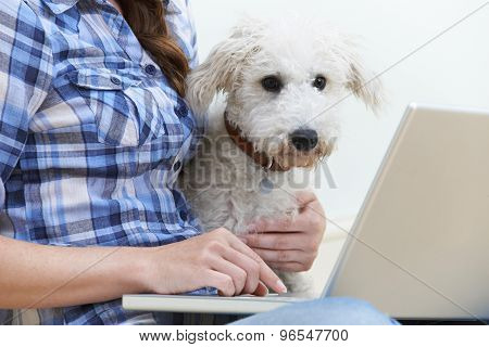 Dog Sitting Next To Owner Using Laptop