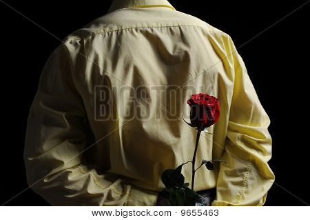 Uomo In una camicia gialla tenendo una rosa rossa