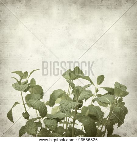 Textured Old Paper Background